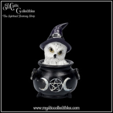 OW-FG035 Beeldje Owl's Brew 10cm - Nemesis Now