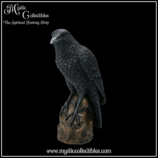 RA-FG002 Beeld Ravens Rest 16cm - Nemesis Now