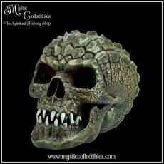 SK-SCH053 Schedel Beeld - Reptillian 17cm - Nemesis Now (Schedels - Skulls)