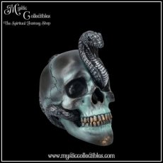 SK-SCH089 Schedel Beeld - Serpentine Fate 19cm - Nemesis Now (Schedels - Skulls)