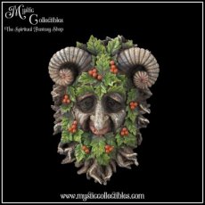 TS-WA012 Wanddecoratie Rawan 21.3cm - Nemesis Now (Greenman - Tree Spirits)