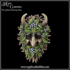 TS-WA013 Wanddecoratie Alder 20.2cm - Nemesis Now (Greenman - Tree Spirits)
