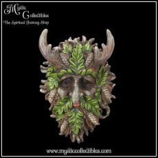 TS-WA014 Wanddecoratie Bryn 20.8cm - Nemesis Now (Greenman - Tree Spirits)