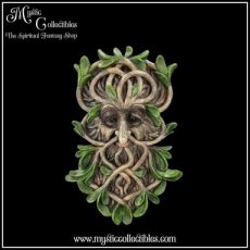 TS-WA015 Wanddecoratie Tawnya 28.8cm - Nemesis Now (Greenman - Tree Spirits)