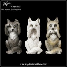 WF-FG001 Beeldjes Three Wise Wolves 10cm - Nemesis Now (Horen - Zien - Zwijgen) (Wolf - Wolven)