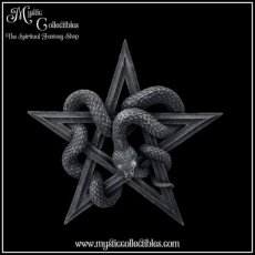 WI-WA012 Wanddecoratie Pentagram Serpent's Worship 24cm - Nemesis Now (Slang - Slangen)