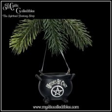 WW-HD005 Hangdecoratie Witches Cauldron Witches Be Crazy Hanging Ornament 6.1cm - Witching Wares Collectie - Nemesis Now