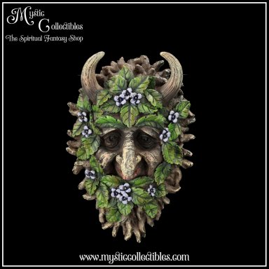 Wanddecoratie Alder 20.2cm - Nemesis Now (Greenman - Tree Spirits)